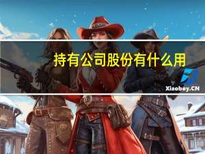 持有公司股份有什么用