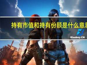 持有市值和持有份额是什么意思
