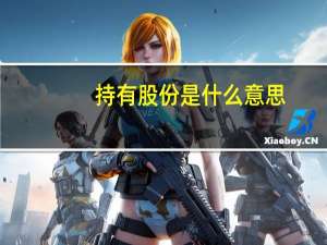 持有股份是什么意思