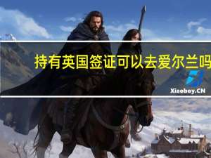 持有英国签证可以去爱尔兰吗