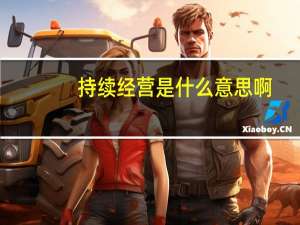 持续经营是什么意思啊