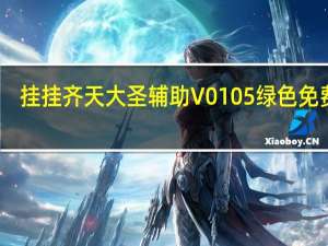 挂挂齐天大圣辅助 V0105 绿色免费版（挂挂齐天大圣辅助 V0105 绿色免费版功能简介）