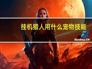 挂机猎人用什么宠物技能