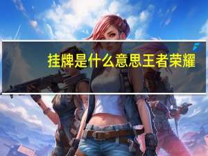 挂牌是什么意思王者荣耀（挂牌是什么意思）
