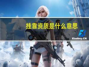 挂靠资质是什么意思