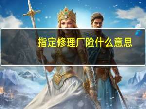 指定修理厂险什么意思