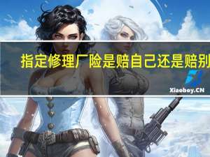 指定修理厂险是赔自己还是赔别人（指定修理厂险是什么意思）