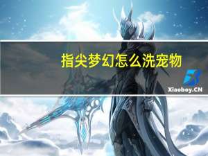 指尖梦幻怎么洗宠物