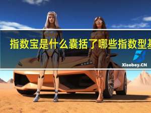 指数宝是什么 囊括了哪些指数型基金