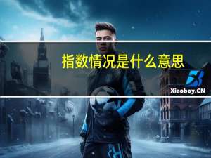 指数情况是什么意思？
