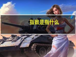 指数是指什么