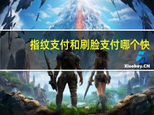 指纹支付和刷脸支付哪个快（指纹支付）