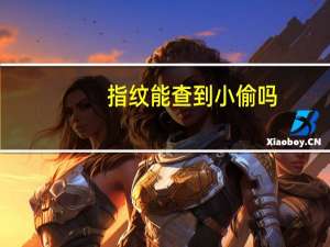 指纹能查到小偷吗