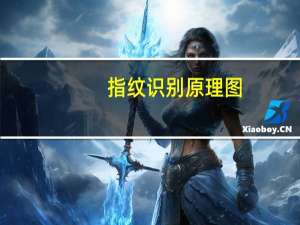 指纹识别原理图（指纹识别原理）