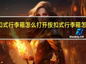 按扣式行李箱怎么打开 按扣式行李箱怎么改密码