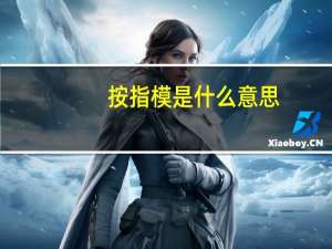 按指模是什么意思
