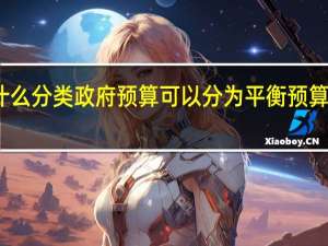按照什么分类政府预算可以分为平衡预算与差额预算