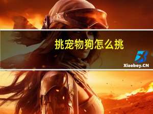 挑宠物狗怎么挑
