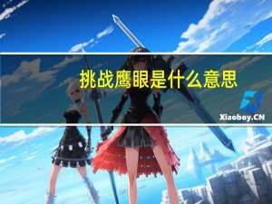 挑战鹰眼是什么意思