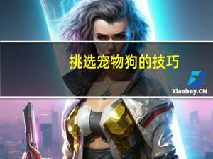 挑选宠物狗的技巧