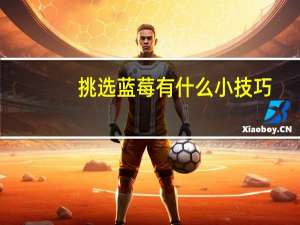 挑选蓝莓有什么小技巧