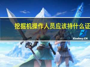 挖掘机操作人员应该持什么证