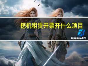 挖机租赁开票开什么项目