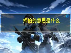挥拍的意思是什么