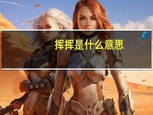 挥挥是什么意思