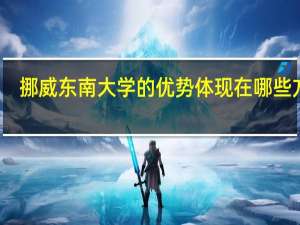 挪威东南大学的优势体现在哪些方面