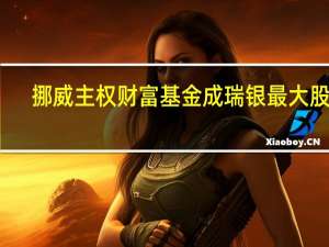 挪威主权财富基金成瑞银最大股东