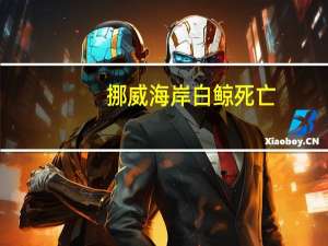 挪威海岸白鲸死亡，目前死因未明，曾被猜是“俄间谍鲸鱼”