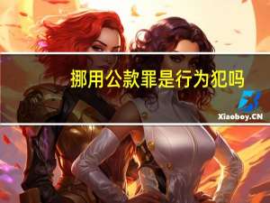挪用公款罪是行为犯吗