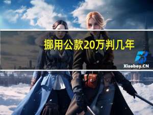 挪用公款20万判几年