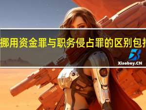 挪用资金罪与职务侵占罪的区别包括什么