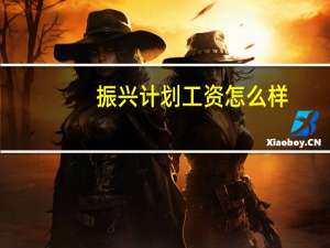 振兴计划工资怎么样