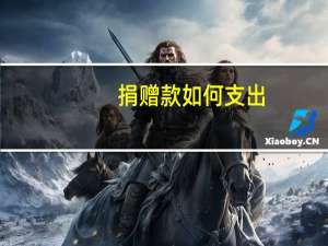捐赠款如何支出