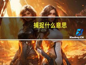 捕捉什么意思