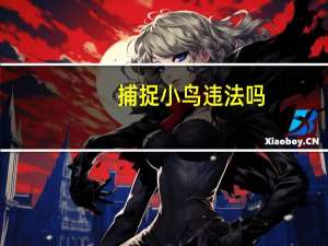 捕捉小鸟违法吗