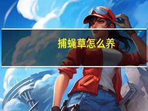 捕蝇草怎么养：放养要比闷养多放一种海绵块介质