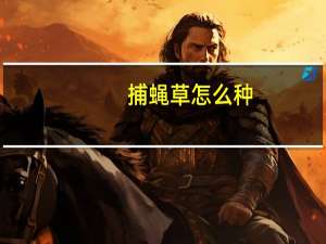 捕蝇草怎么种