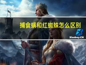 捕食螨和红蜘蛛怎么区别