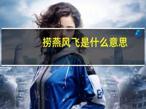 捞燕风飞是什么意思