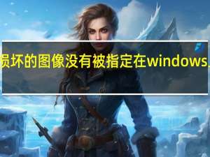损坏的图像没有被指定在windows上运行（损坏的图像）