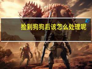捡到狗狗后该怎么处理呢
