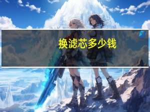 换滤芯多少钱