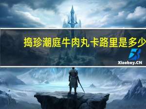 捣珍 潮庭牛肉丸卡路里是多少