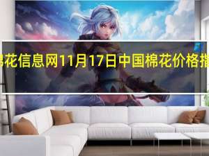 据中国棉花信息网11月17日中国棉花价格指数（CC Index）报16915元/吨较上个交易日下调43元/吨