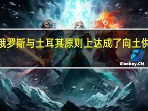 据俄罗斯外交部当地时间9月6日消息俄罗斯与土耳其原则上达成了向土供应100万吨粮食的协议技术细节将很快确定