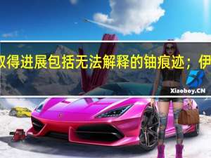 据国际原子能机构报告在悬而未决的保障问题上没有取得进展包括无法解释的铀痕迹；伊朗拒绝允许在另一个地点安装更多的国际原子能机构摄像机